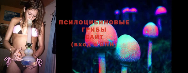 ECSTASY Абаза
