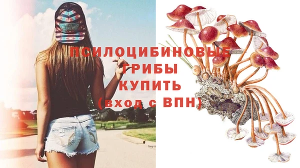 каннабис Сатка